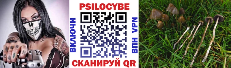 Галлюциногенные грибы MAGIC MUSHROOMS  KRAKEN как зайти  Луга 